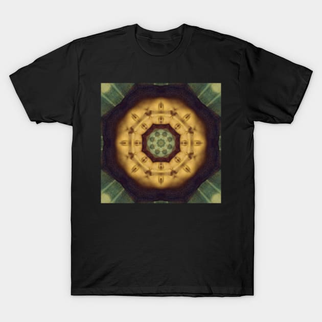 Mandalisa Kaleidoscope Pattern (Seamless) 17 T-Shirt by Swabcraft